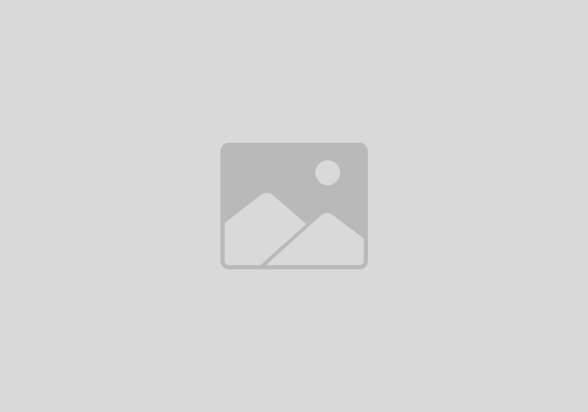 MainVersion_Logo_ReVive_Architekt_white